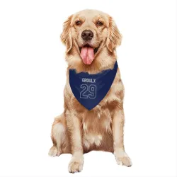 Toronto Maple Leafs Bo Groulx Blue Gray Pet Bandana for Dog & Cat