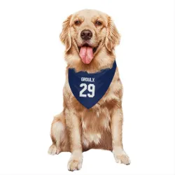 Toronto Maple Leafs Bo Groulx Blue Pet Bandana for Dog & Cat