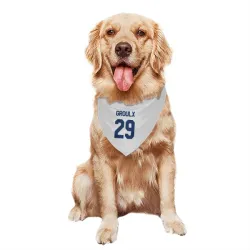 Toronto Maple Leafs Bo Groulx White Pet Bandana for Dog & Cat