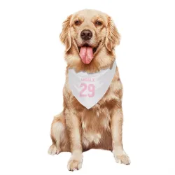 Toronto Maple Leafs Bo Groulx White Pink Pet Bandana for Dog & Cat